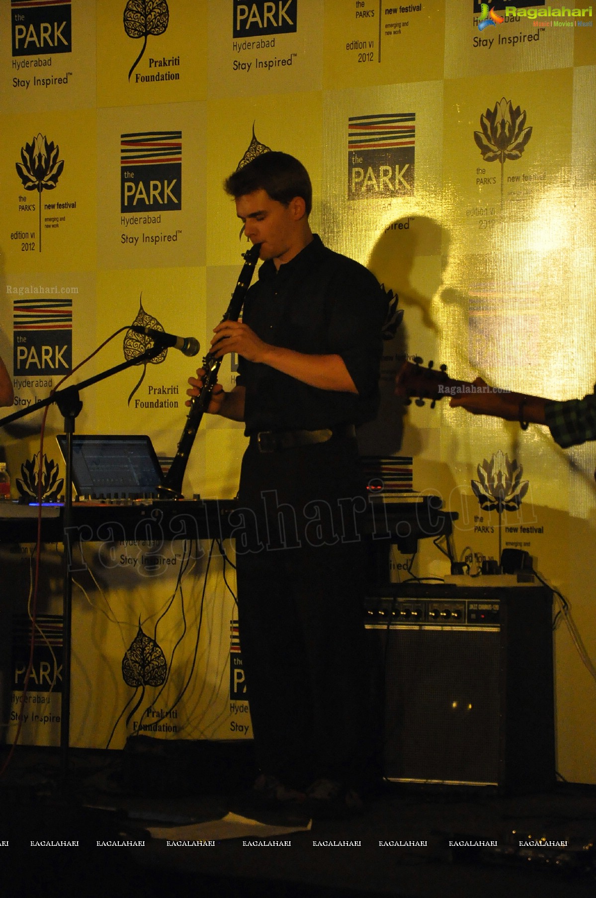 The Park's New Festival 2012, Hyderabad