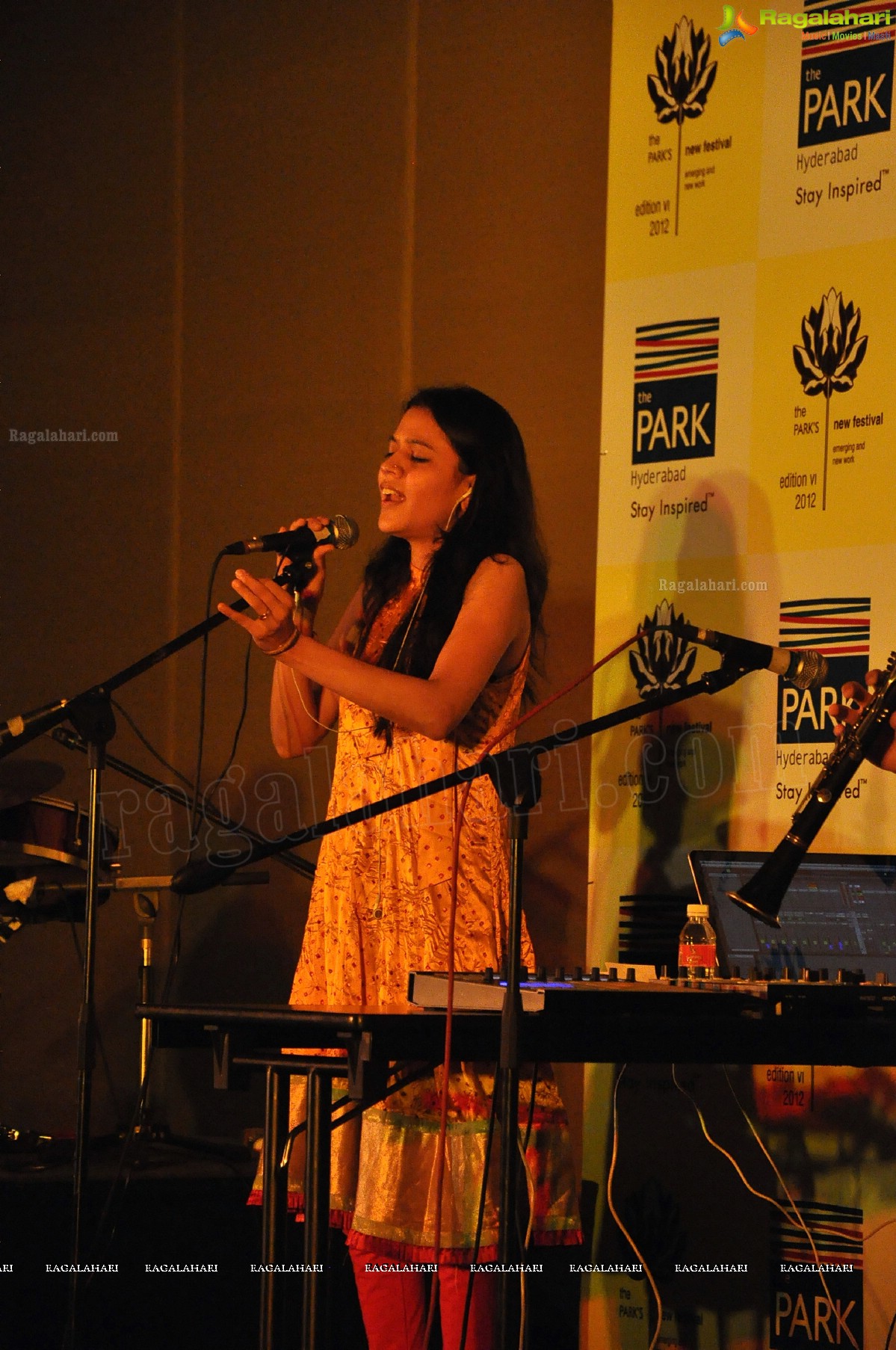 The Park's New Festival 2012, Hyderabad