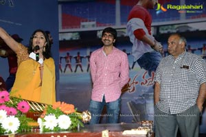 Ramayya Vasthavayya Audio Release