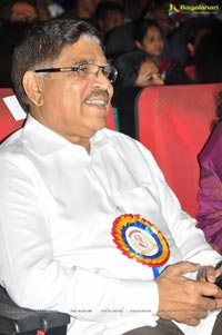 Allu Ramalingaiah National Award Ceremony 2013