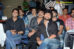 D For Dopidi Audio Release