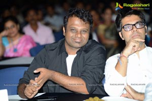 D For Dopidi Audio Release