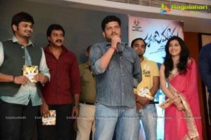 Jagame Maaya Audio Release Function Photos