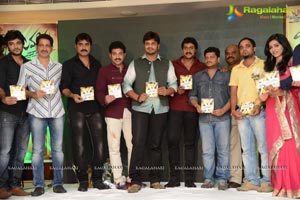 Jagame Maaya Audio Release Function Photos