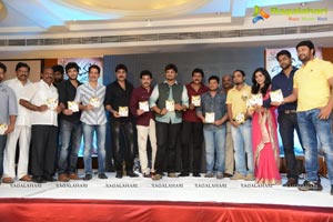 Jagame Maaya Audio Release Function Photos