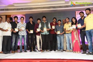 Jagame Maaya Audio Release Function Photos