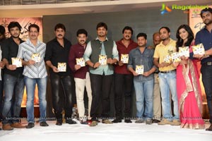 Jagame Maaya Audio Release Function Photos