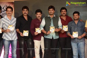 Jagame Maaya Audio Release Function Photos