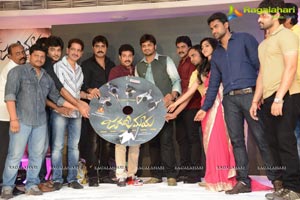 Jagame Maaya Audio Release Function Photos