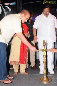 Raghupathi Venkaiah Naidu Audio Release