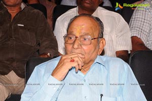 Raghupathi Venkaiah Naidu Audio Release