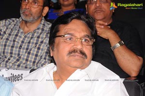 Raghupathi Venkaiah Naidu Audio Release