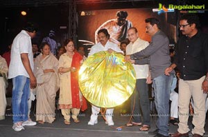 Raghupathi Venkaiah Naidu Audio Release