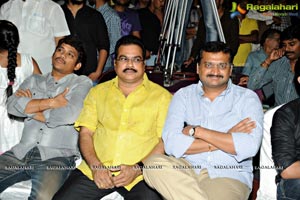 Ramayya Vasthavayya Audio Release Function