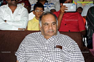 Ramayya Vasthavayya Audio Release Function