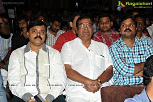 Ramayya Vasthavayya Audio Release Function