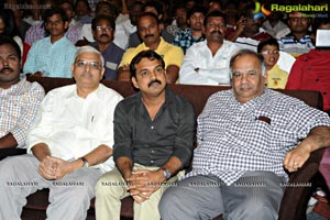 Ramayya Vasthavayya Audio Release Function