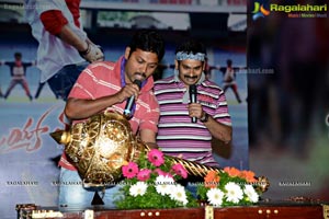 Ramayya Vasthavayya Audio Release Function