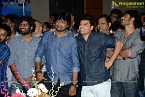 Ramayya Vasthavayya Audio Release Function