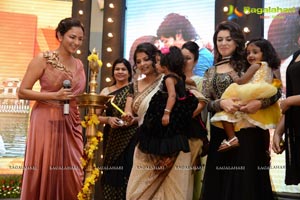 Doosukeltha Audio Release