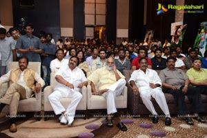 Doosukeltha Audio Release