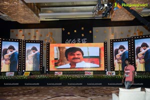 Doosukeltha Audio Release