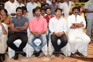 Doosukeltha Audio Release