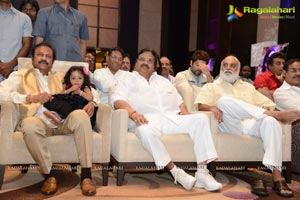 Doosukeltha Audio Release