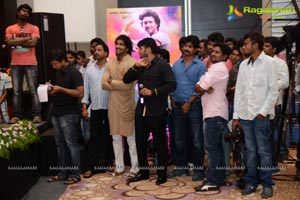 Doosukeltha Audio Release