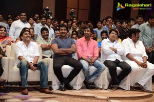 Doosukeltha Audio Release