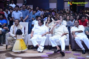 Doosukeltha Audio Release