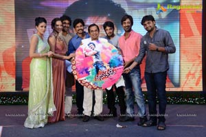 Doosukeltha Audio Release