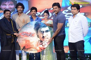 Doosukeltha Audio Release