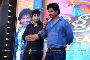 Doosukeltha Audio Release