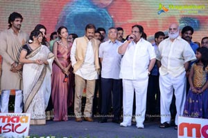 Doosukeltha Audio Release