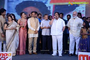 Doosukeltha Audio Release