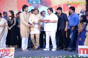 Doosukeltha Audio Release