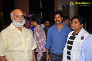 Doosukeltha Audio Release