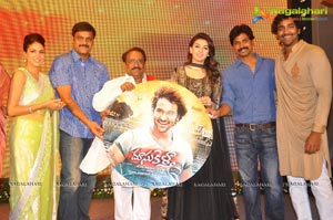 Doosukeltha Audio Release