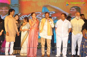 Doosukeltha Audio Release