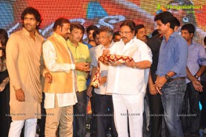 Doosukeltha Audio Release