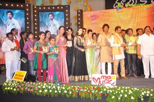 Doosukeltha Audio Release