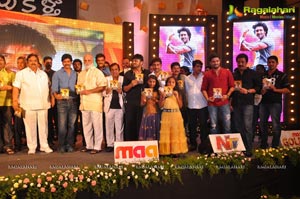 Doosukeltha Audio Release