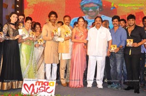 Doosukeltha Audio Release