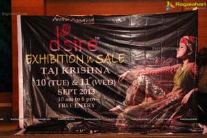 Hyderabad Dsire Exhibition Sep 2013 Curtain Raiser