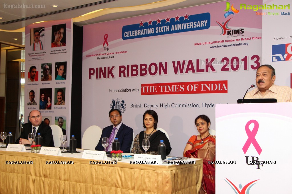 UBF Pink Ribbon Walk 2013 Curtain Raiser