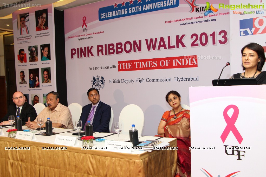 UBF Pink Ribbon Walk 2013 Curtain Raiser