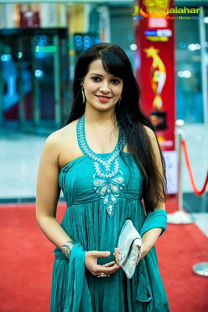 Celebs at SIIMA 2013