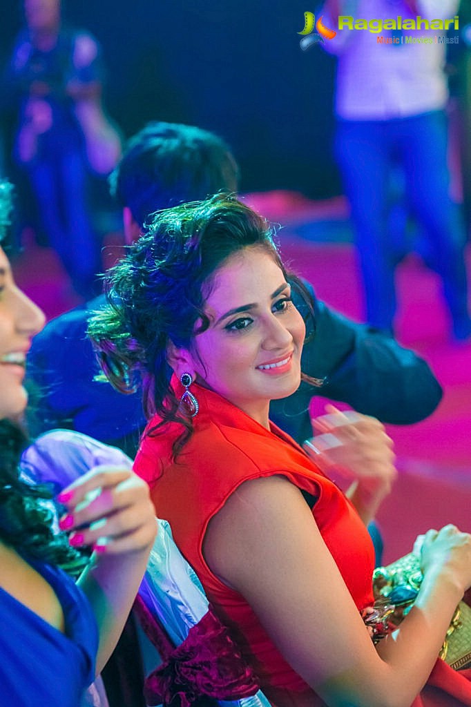 Celebs at SIIMA 2013