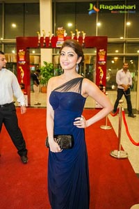 SIIMA 2013 Photos